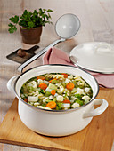 Colorful vegetable stew with spirelli