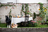 Herbstlich gedeckter Tisch an der bewachsenen Gartenmauer