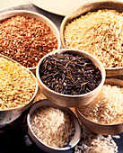 Variations of rice