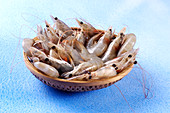 Uncooked shrimp in small wooden basket
