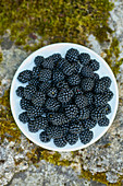 Blackberries in plate on stone background