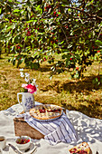 Picknick im Garten mit Kirschpie und Kaffee