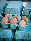 Brown eggs in blue egg boxes