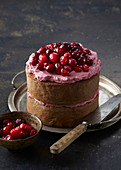 Gingerbread cake with Cranberries