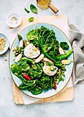 Vegetable salad with broccolini, spinach, radishes and mozzarella