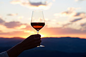 Frauenhand hält ein Glas Rotwein im Sonnenuntergang