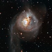 Peculiar galaxy NGC 3256, HST image