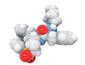 K777 cysteine protease inhibitor, molecular model