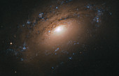 Spiral galaxy, Hubble Space Telescope image