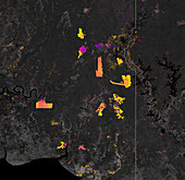 Deforestation in Papua, Indonesia