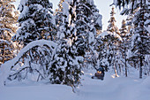 Snowmobiling, Sweden
