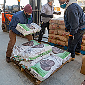 Volunteers distributing food