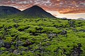 Volcanic landscape, Iceland