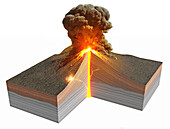 Stratovolcano erupting, illustration