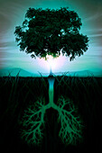 Tree of life, conceptual illustration