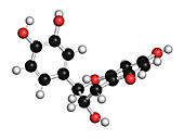 Catechin herbal antioxidant molecule, illustration