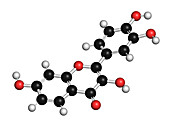 Fisetin plant polyphenol molecule, illustration