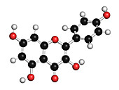 Kaempferol antioxidant molecule, illustration