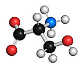 D-serine amino acid molecule, illustration