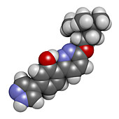 Branaplam SMA drug molecule, illustration