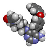 Evobrutinib drug molecule, illustration