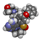 Rilzabrutinib drug molecule, illustration