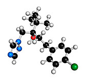 Tebuconazole fungicide molecule, illustration