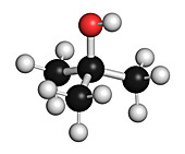Tert-butyl alcohol solvent molecule, illustration