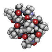 Voclosporin immunosuppressant drug molecule, illustration