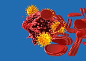 Blood clotting and coronavirus, conceptual illustration
