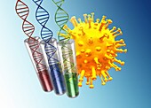 DNA and coronavirus particle, illustration