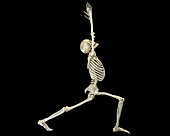 Skeleton in warrior 1 yoga pose, illustration