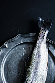 A trout on a tin plate