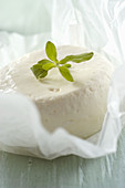 Robiola d'Alba (Italian cream cheese)