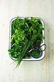 Bowl of fresh herbs