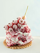 Currant ice cream garnished with frozen currants
