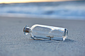 Flaschenpost am Sandstrand
