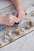 A child's hands playing with flower seeds