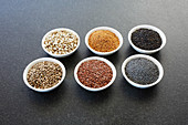 Various oil seeds in bowls