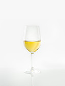 A glass of white wine against a white background