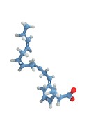 EPA omega-3 fatty acid, molecular model