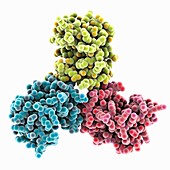 HIV-1 matrix protein mutant, molecular model