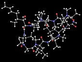 Cyclosporin molecule, molecular model