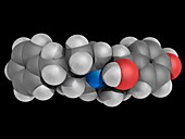 Ifenprodil drug, molecular model