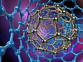 Inside of a nanoring containing a buckyball, illustration