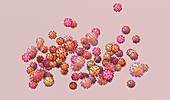Covid-19 coronavirus variants, illustration