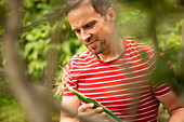 Man harvesting fresh leek in garden