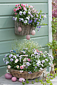 Baskets with horned violets, Tausendschön roses, forget-me-nots, and rock jasmine, with Easter eggs, and Easter bunnies as Easter decorations