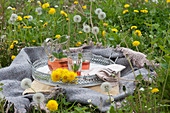 Entspannung in der Löwenzahn-Wiese: Decke, Kissen und Tablett mit Blüten, Krug und Gläsern mit Tee und Minze