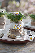 Österliche Tellerdeko mit Kresse im Glas, dekoriert mit Blüten von Gänseblümchen und Ostereiern